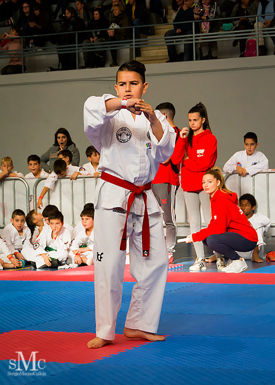 COPA SEUL, 2017  (40).JPG